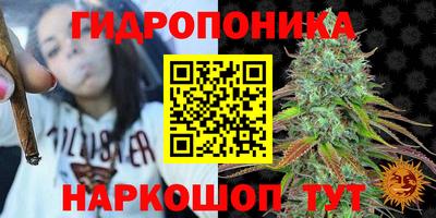 сатива Ивантеевка